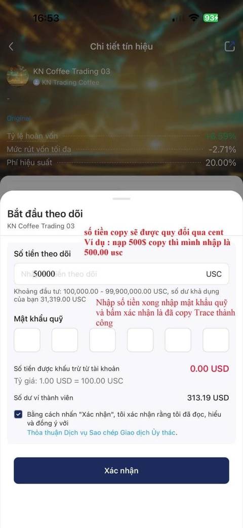 Copytrade — bước 8